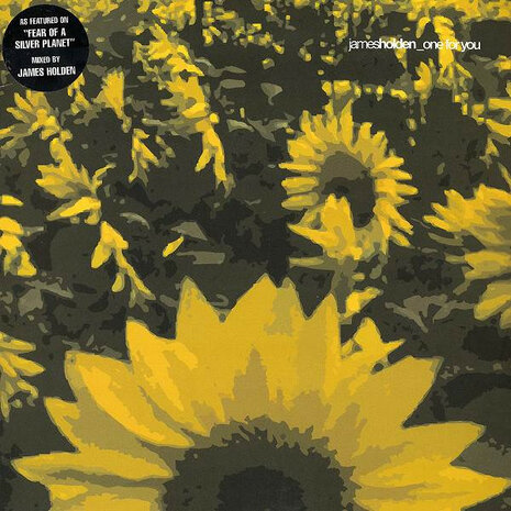 James Holden - One For You (2001)