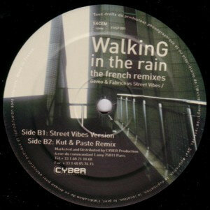 Gemo &amp; Fabrice vs. Streetvibes - Walking In The Rain (The French Remixes) (2000)
