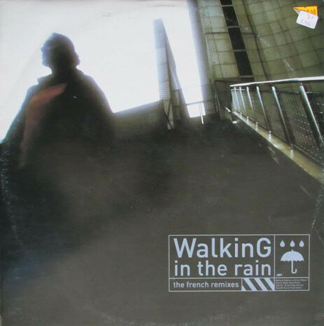 Gemo &amp; Fabrice vs. Streetvibes - Walking In The Rain (The French Remixes) (2000)